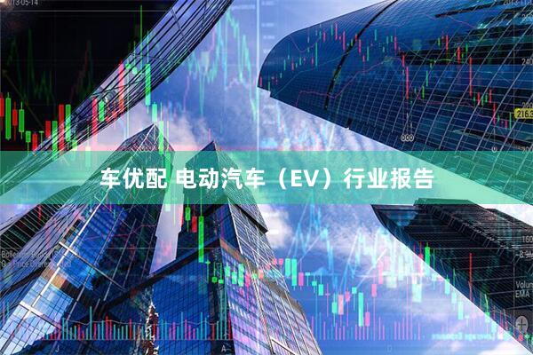 车优配 电动汽车（EV）行业报告