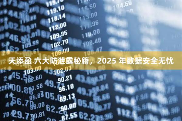 天添盈 六大防泄露秘籍，2025 年数据安全无忧